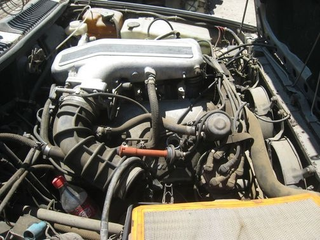 Illustration for article titled This Junkyard Alfa Romeo GTV6 Won't Get To Go Out In A Blaze Of Racin' Glory